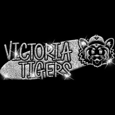 GLT100 SILVER GLITTER Thumbnail